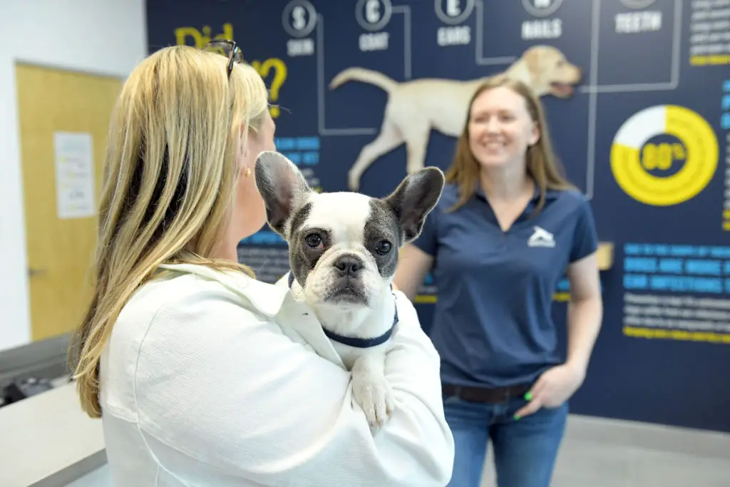 Scenthound - a Wellness-Focused Dog Care Franchise - to Open in Meyerland Next Week