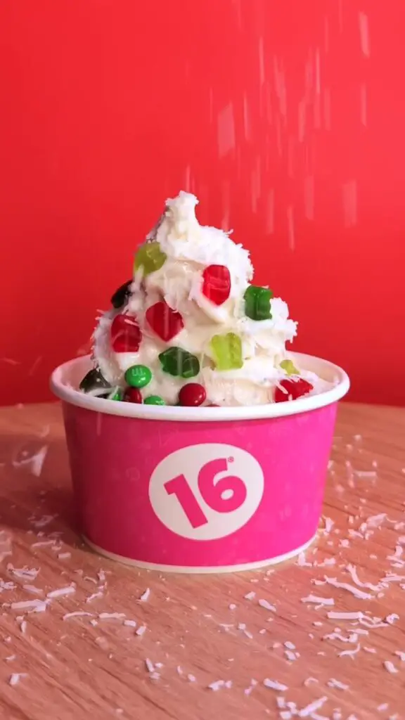 Entrepreneurial Family Ventures Into The World Of Frozen Yogurt-1